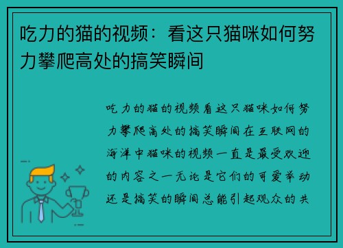 吃力的猫的视频：看这只猫咪如何努力攀爬高处的搞笑瞬间